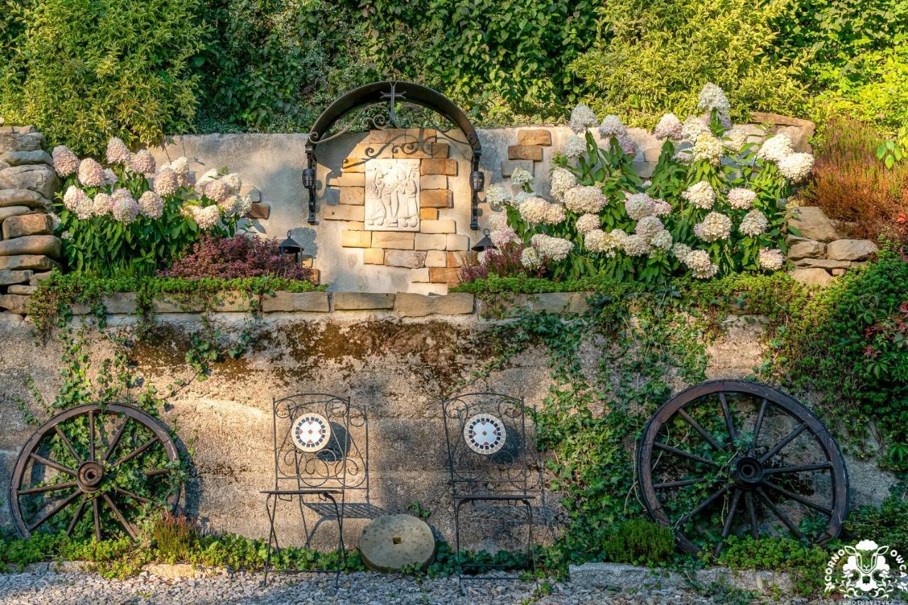 Agroturystyka Corno Owca Zabnica Exteriér fotografie